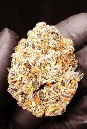 shop cannabis