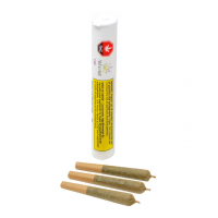 COP Pre Roll 770x770