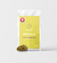 Cindy Jack