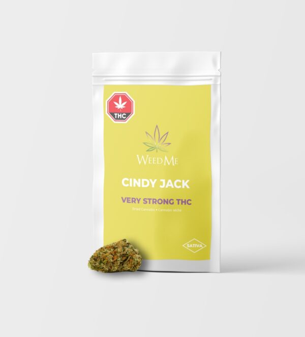 Cindy Jack