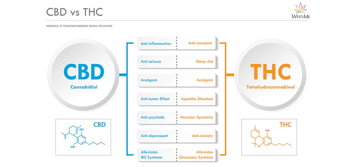 cbd and thc