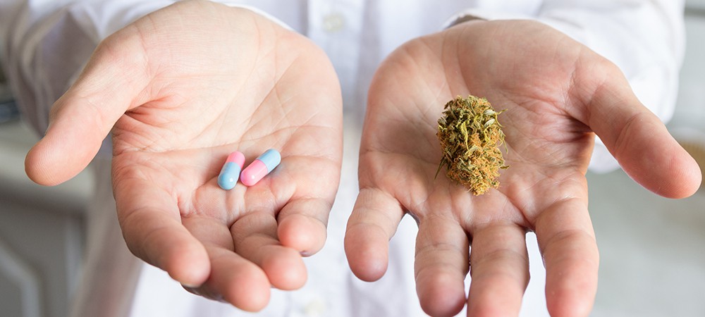 medical cannabis and elderly