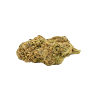 Copy of Powdered Donuts - Flower